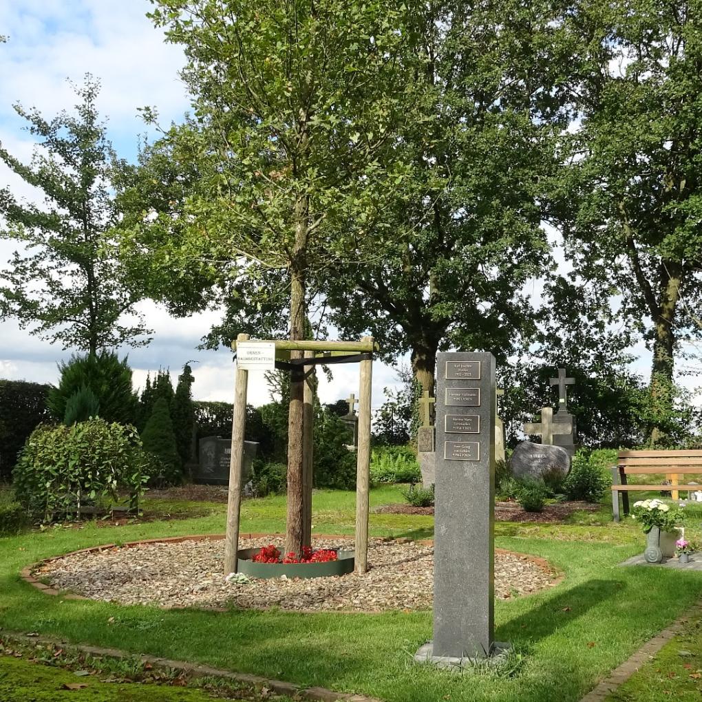 Lüttelforst 318