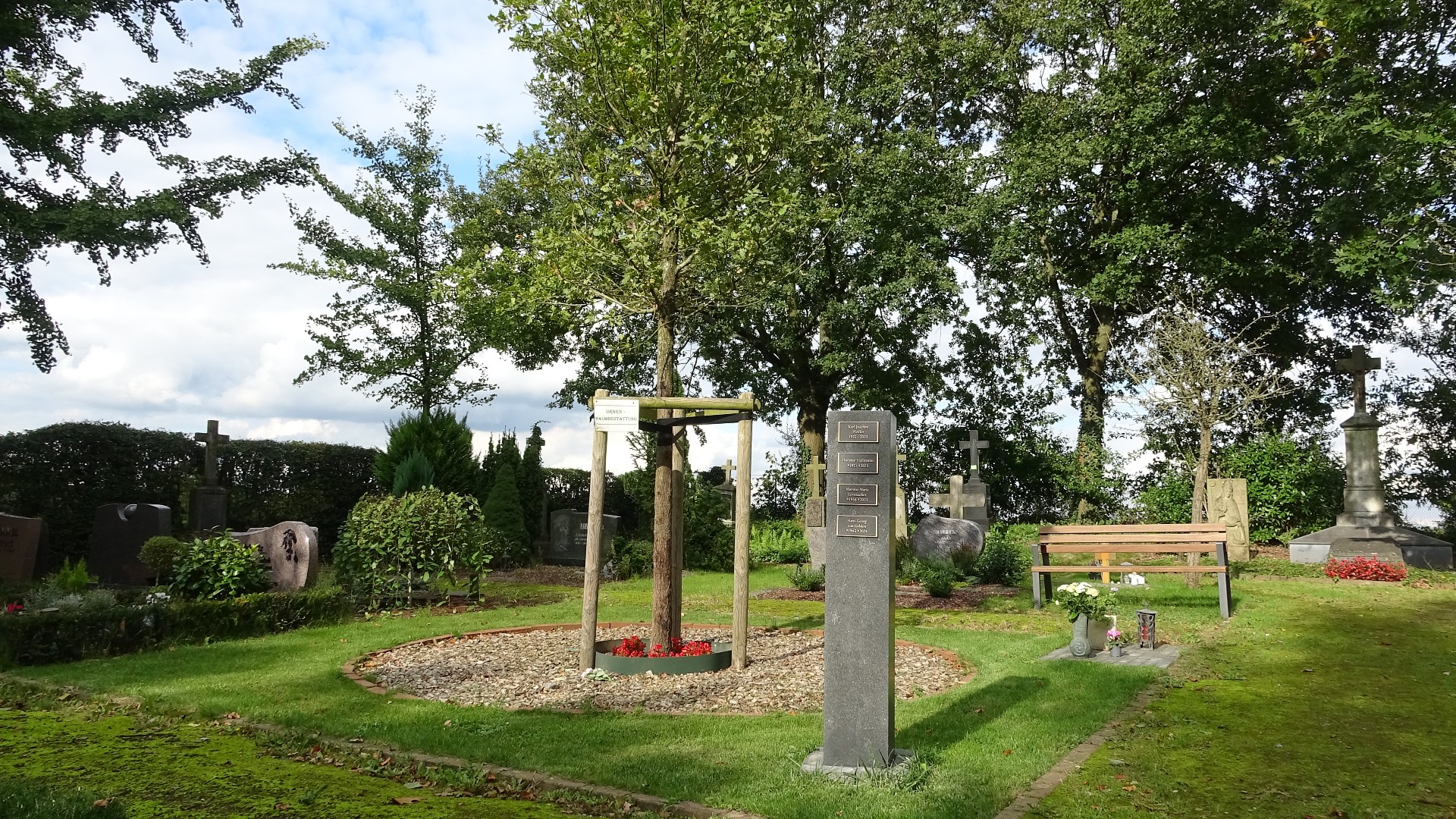 Lüttelforst 318