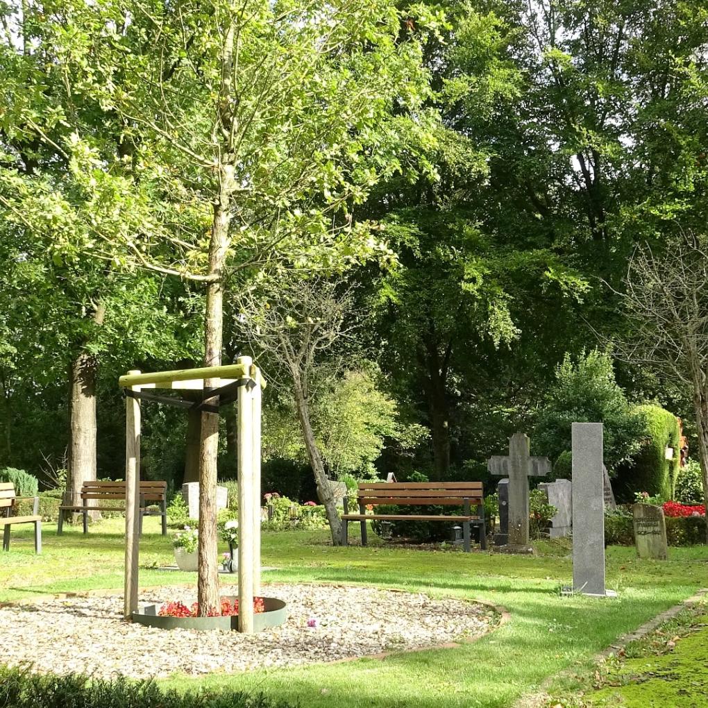 Lüttelforst 319