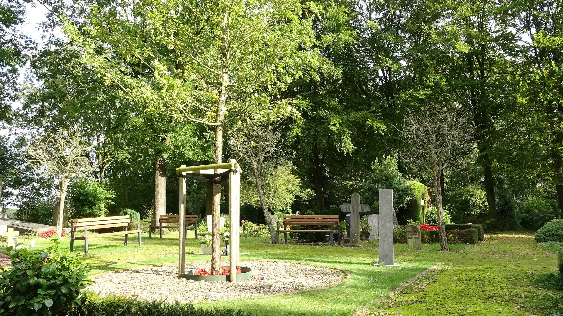 Lüttelforst 319