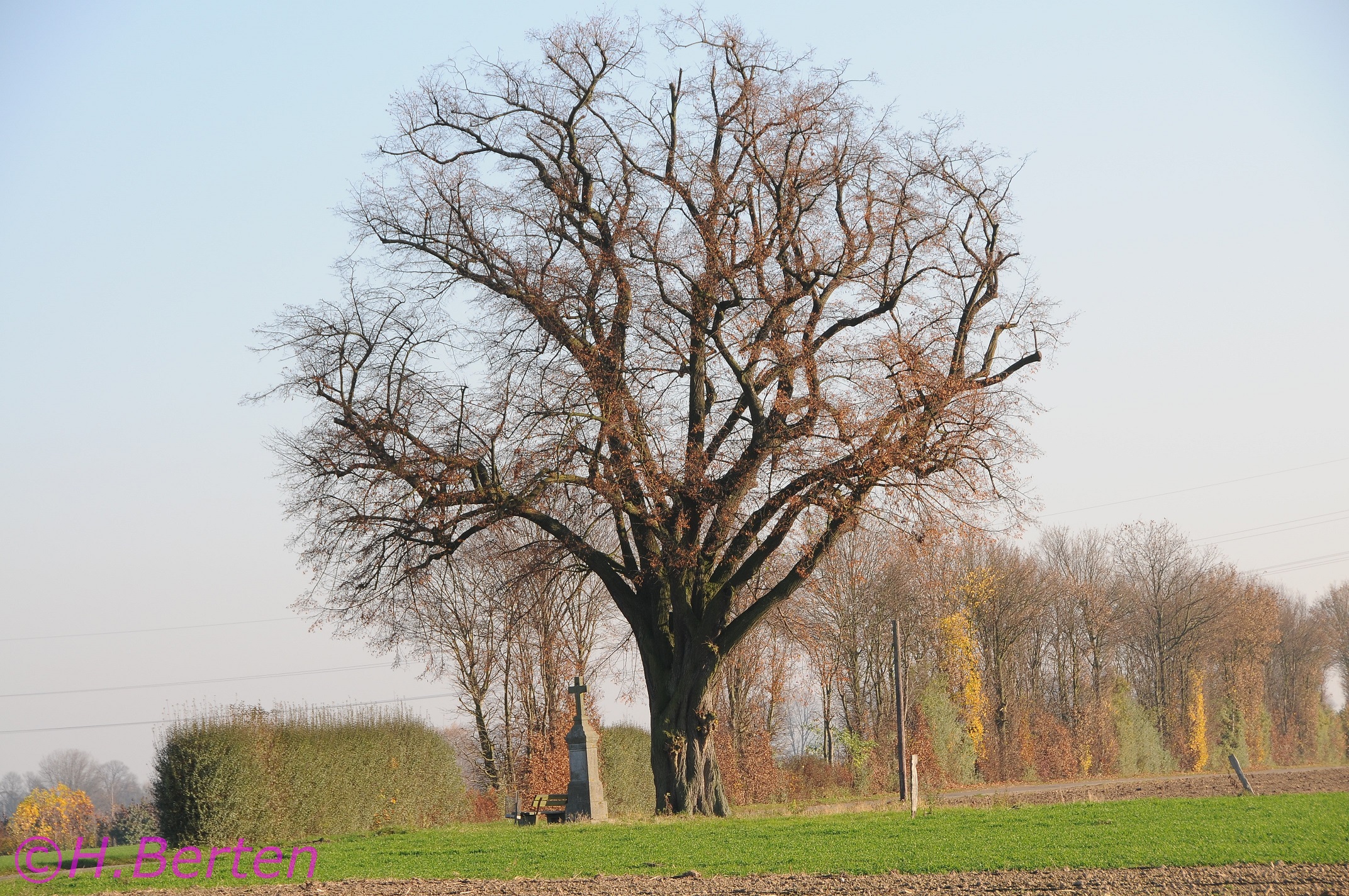 Wegekreuz Hagen 03
